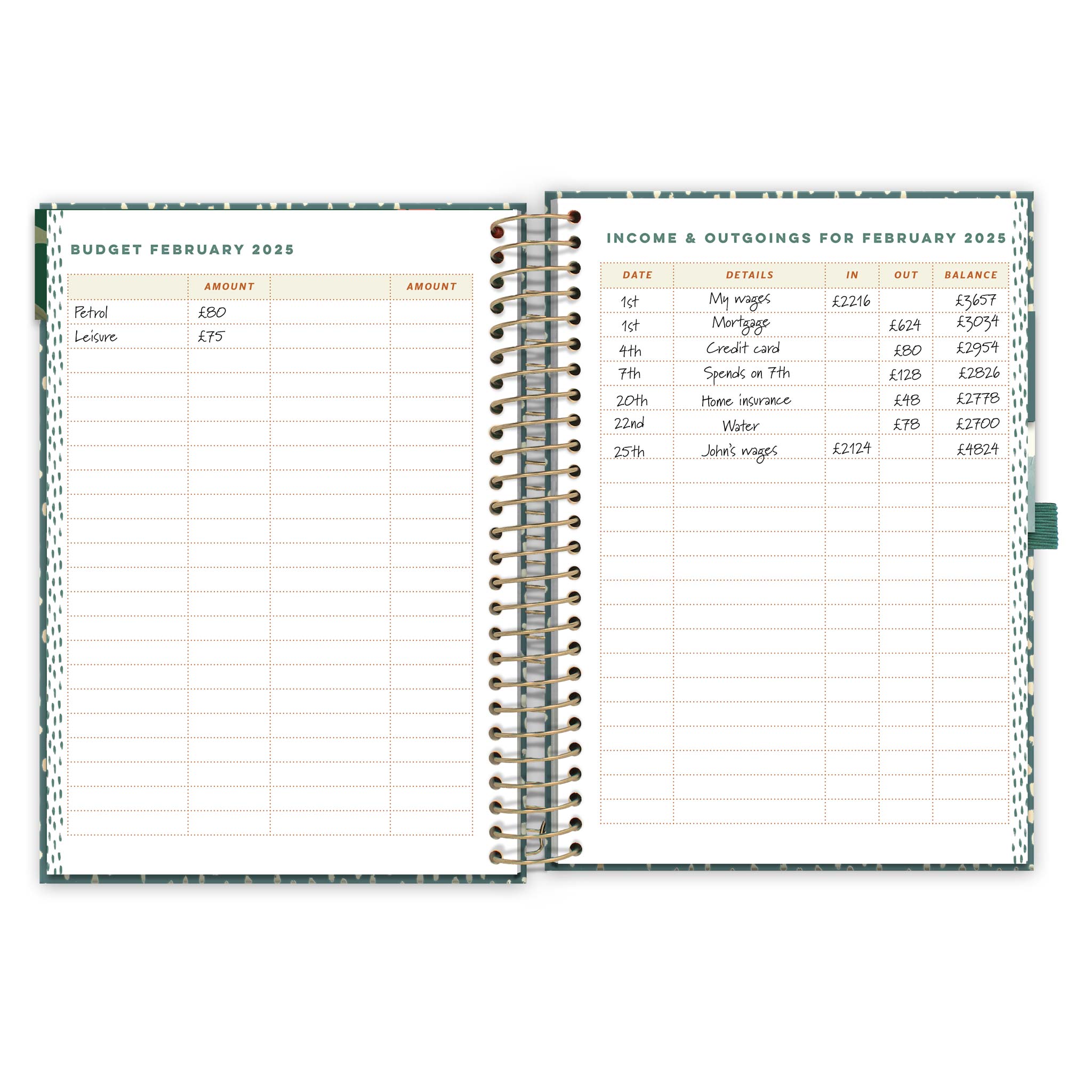 An open diary spread with a budget page for February 2025 and an income and outgoings page.