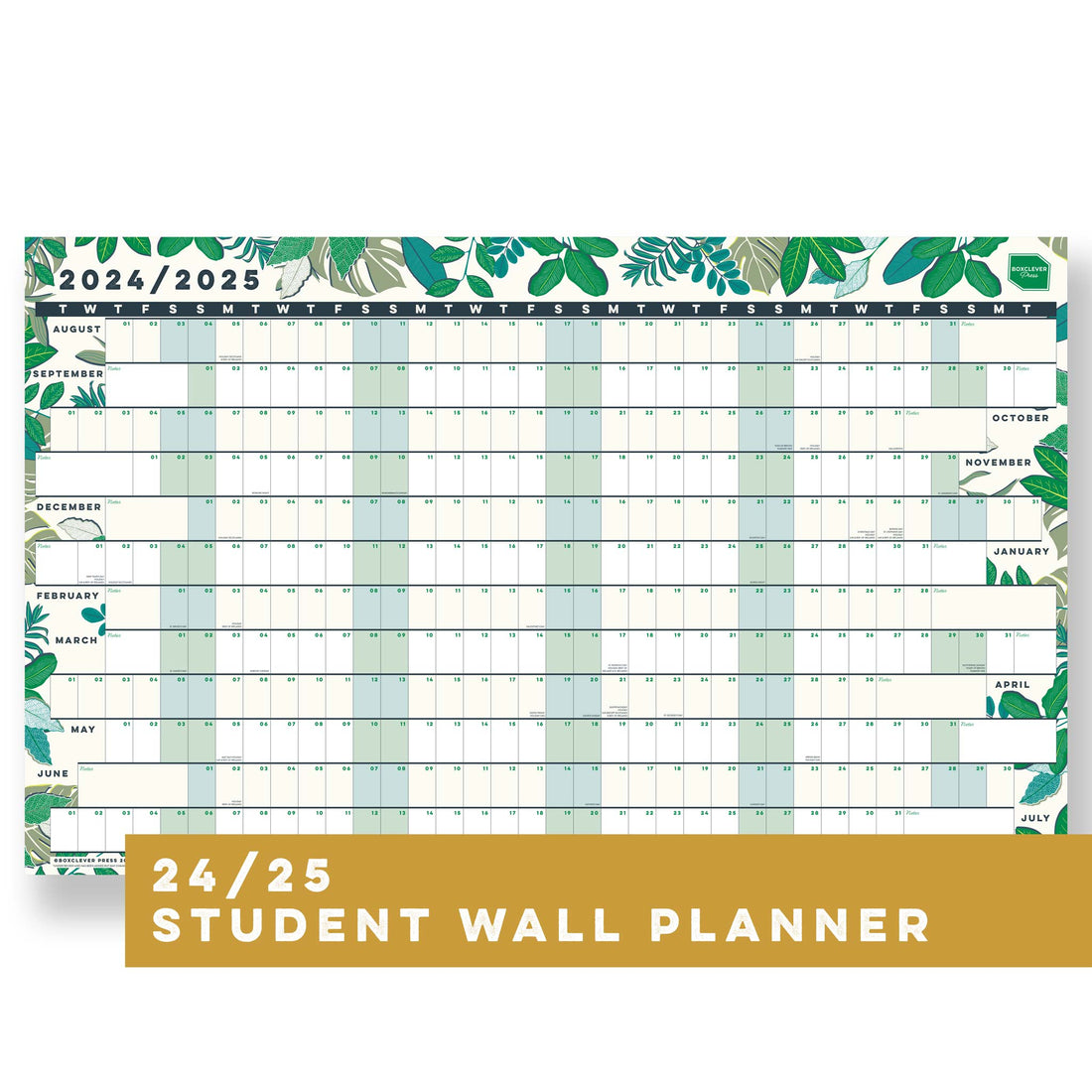 Boxclever Press Academic Student Wall Planner 2024 2025