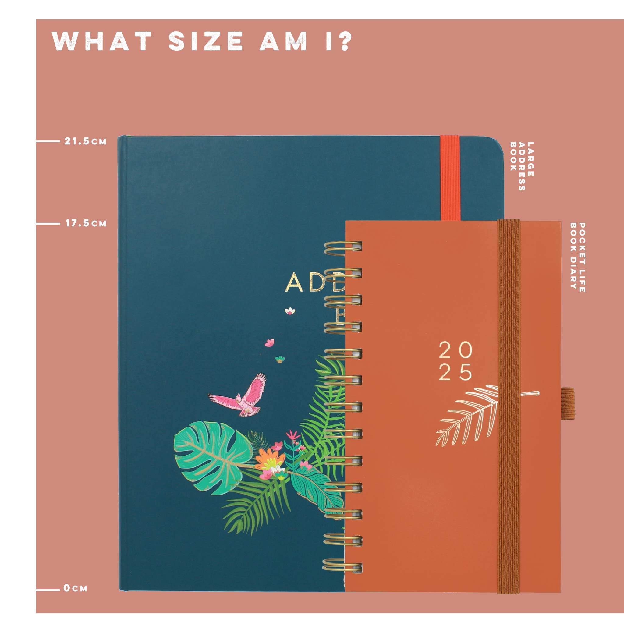 Large Address Book