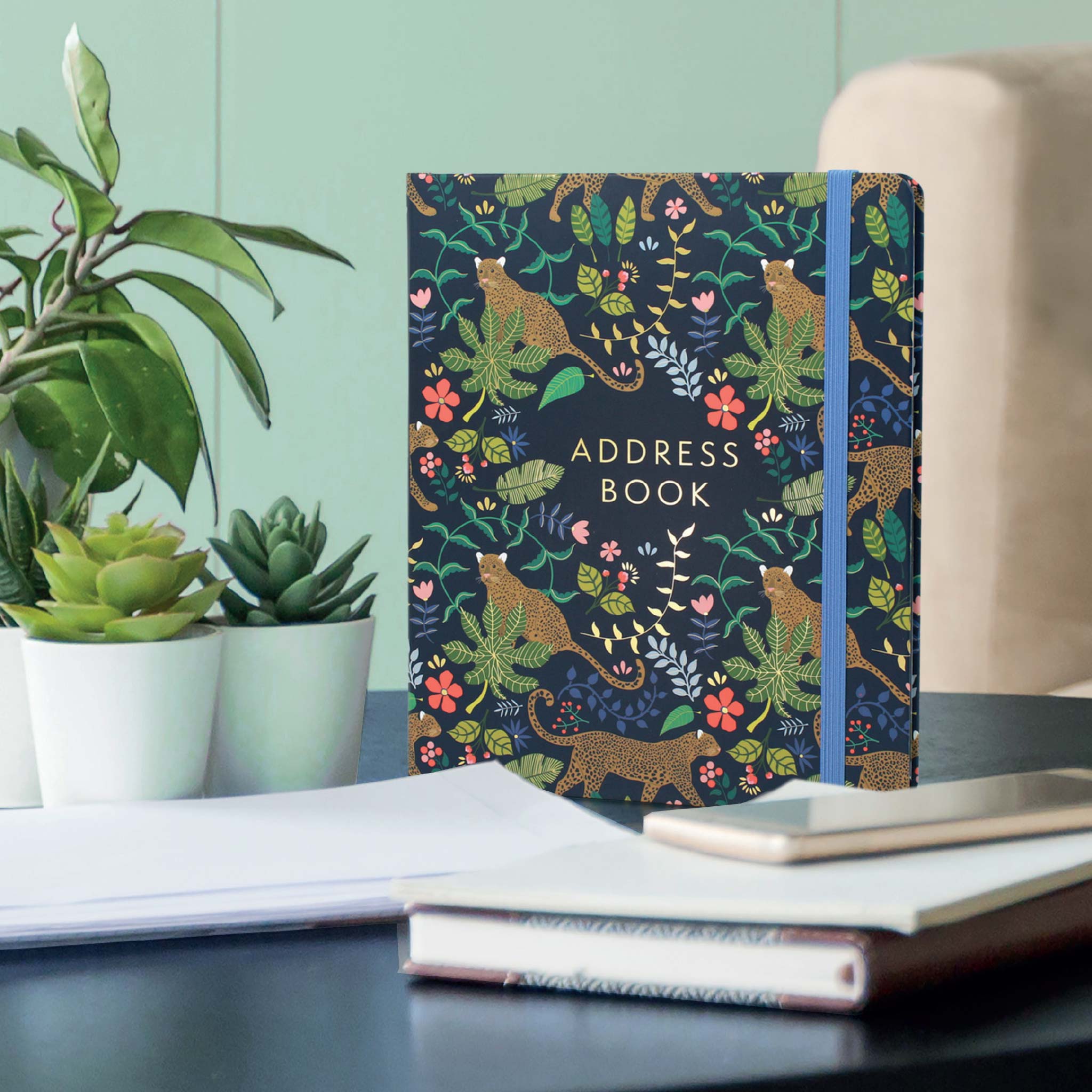 Boxclever Press large address book on a table next to succulent plants.