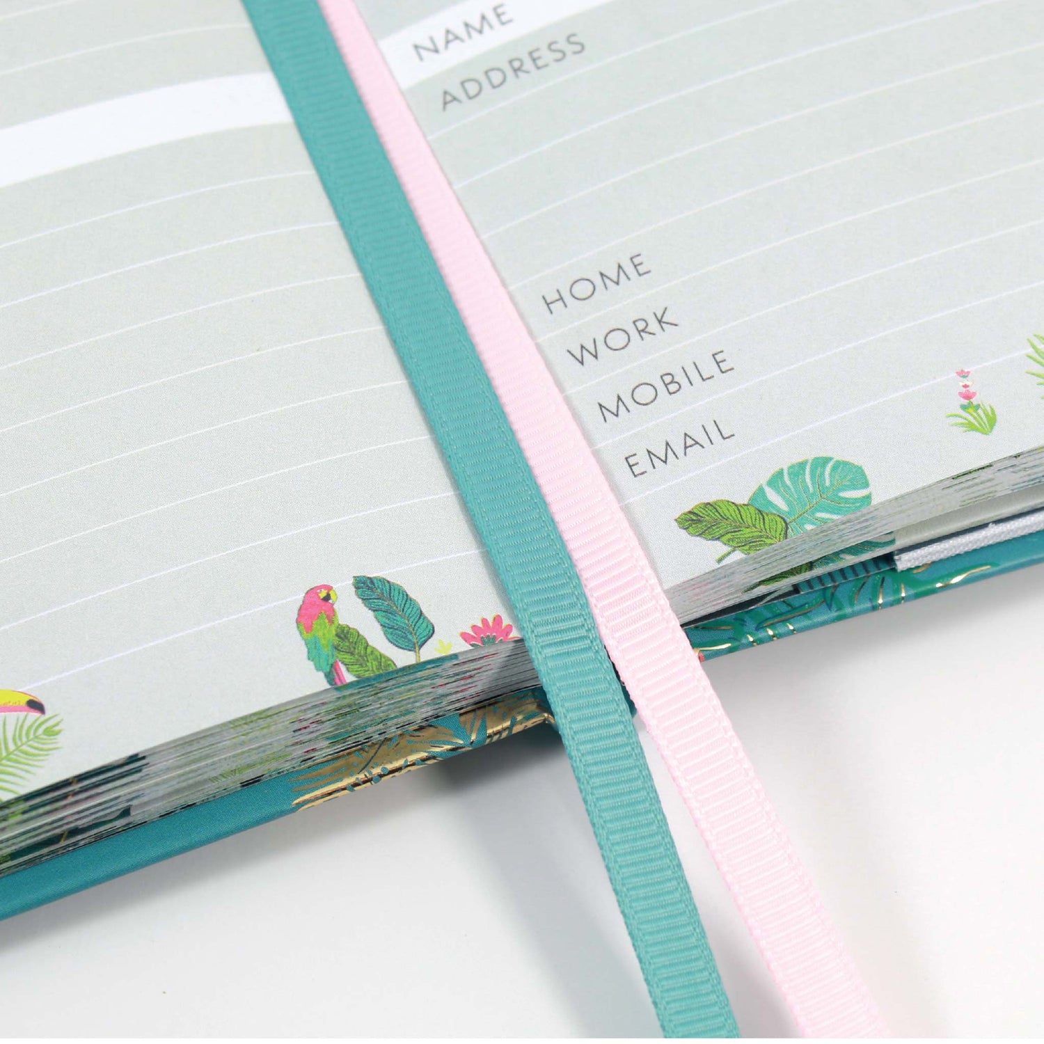 An open address book with 2 ribbon page markers.