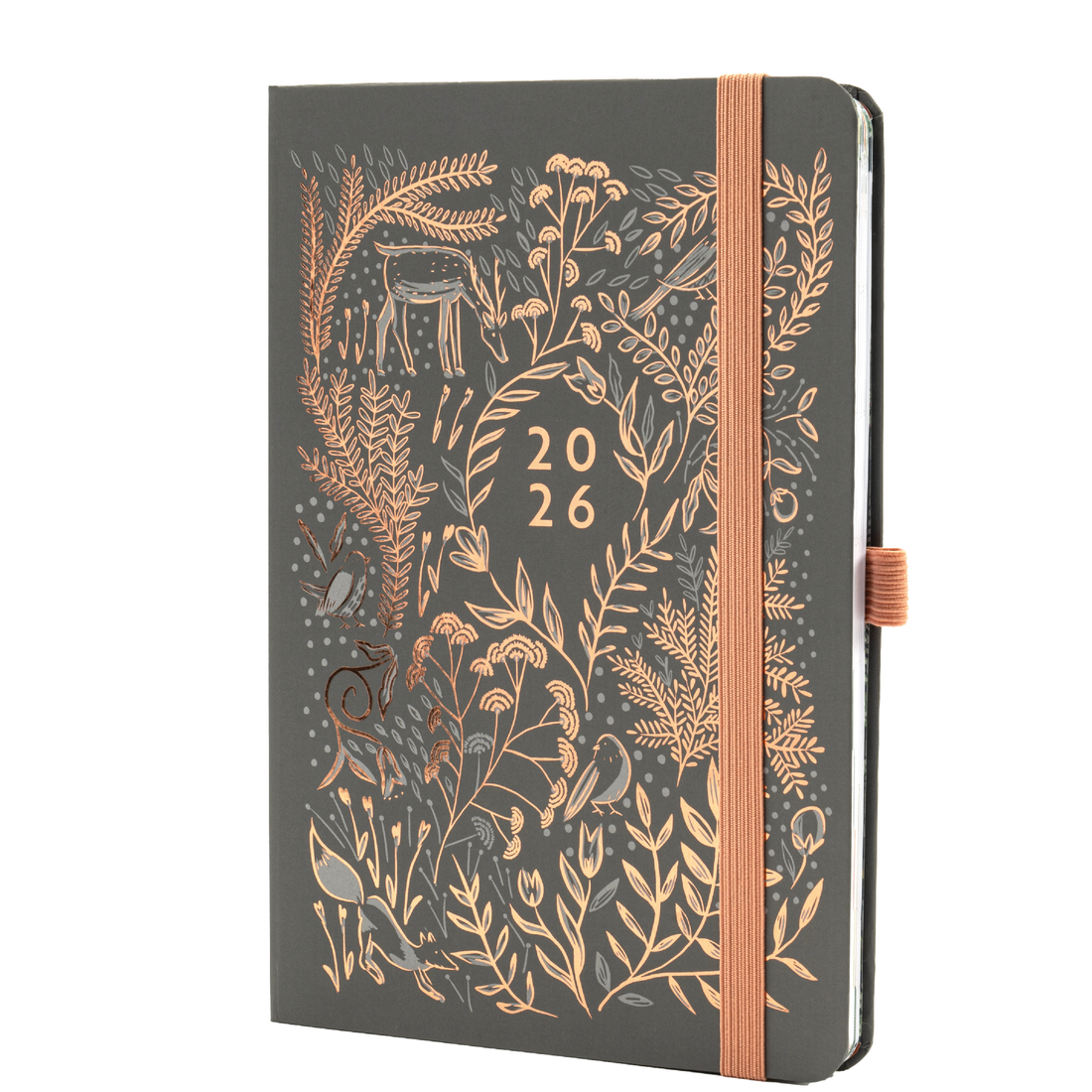 Everyday A5 Week to View Diary 2026