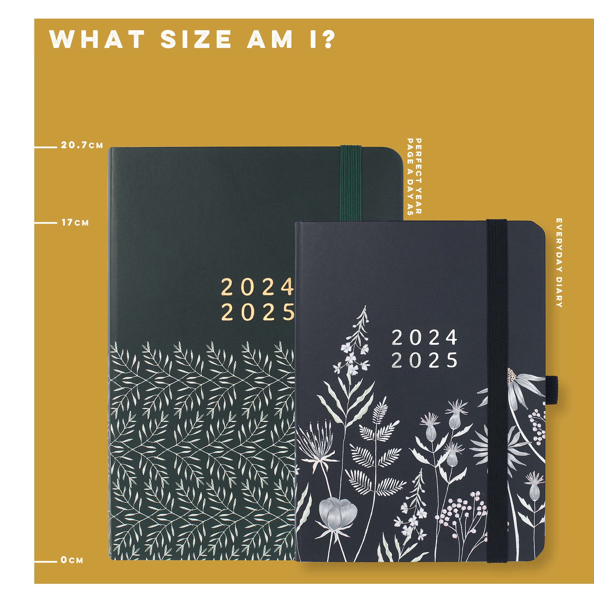 A size image showing an A5 Page a Day Diary and the Everyday Academic diary