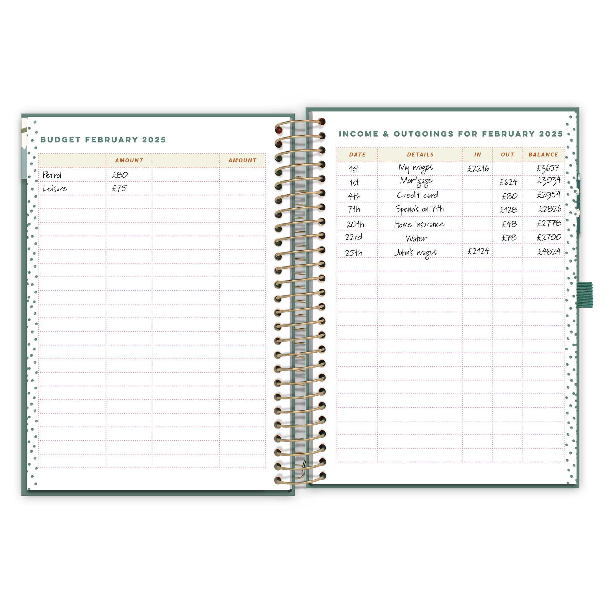 An open diary spread with a budget page for February 2025 and an income and outgoings page.