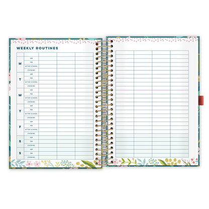 Life Book Diary 2027