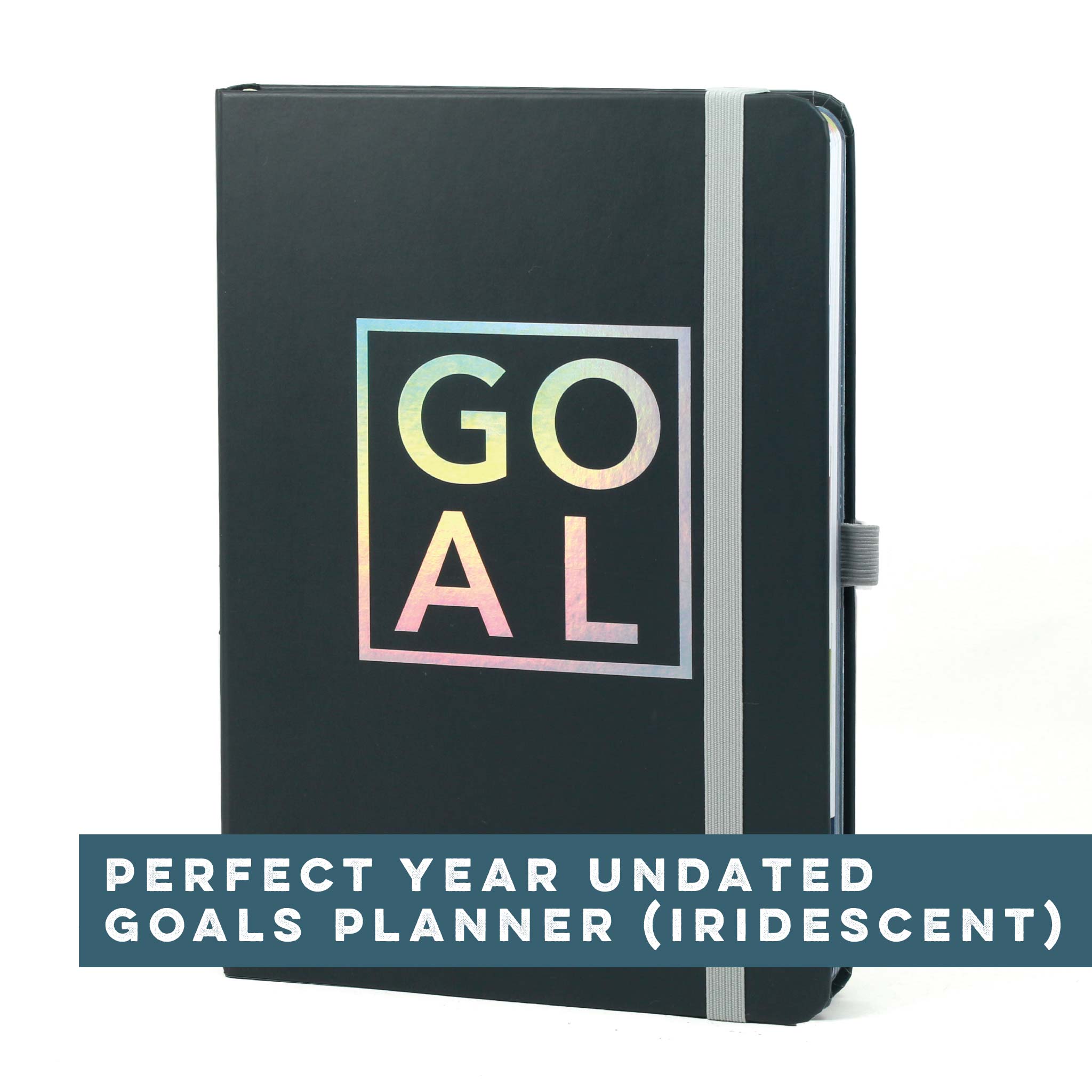 Perfect Year Undated Goals Planner (Iridescent)