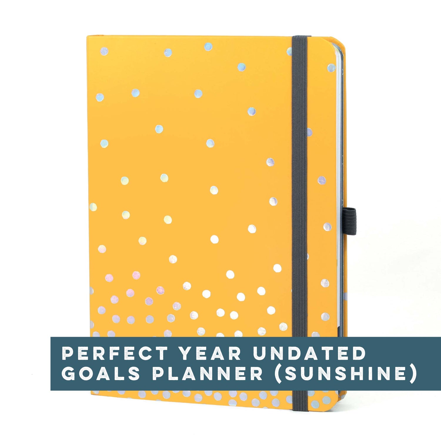 Perfect Year Undated Goals Planner (Sunshine)