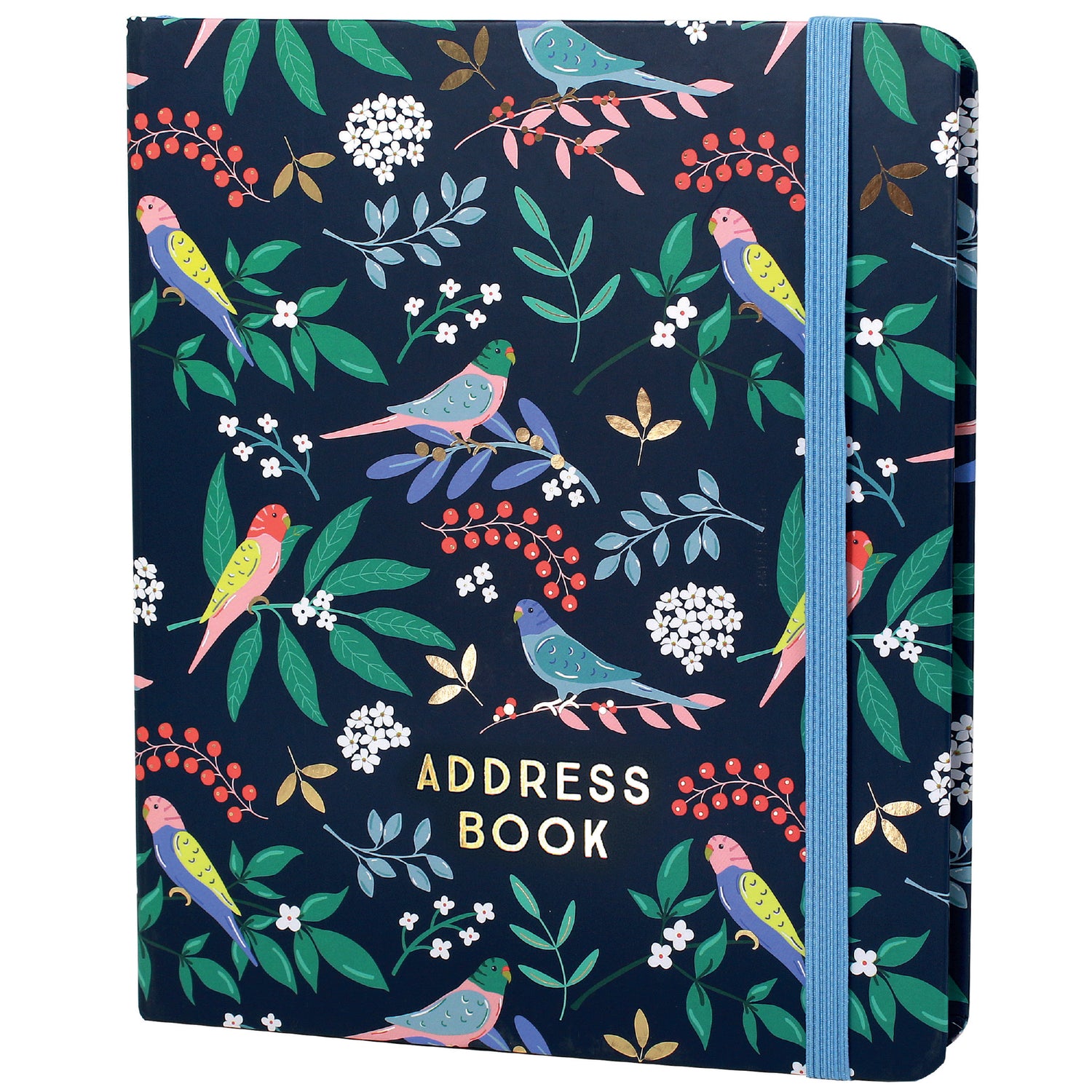 Boxclever Press large address book  - budgies cover. 