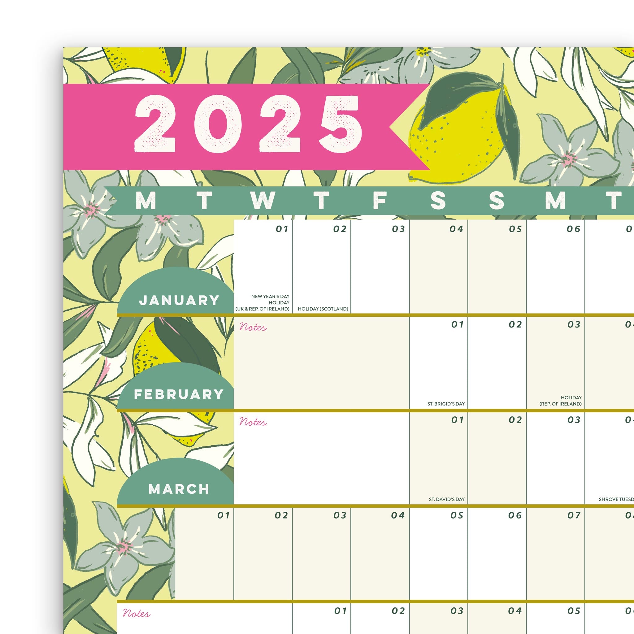 Annual wall planner showing the top left corner, linear lines for each date and shaded weekends.
