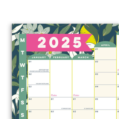 Annual wall planner showing the top left corner, linear lines for each date and shaded weekends.
